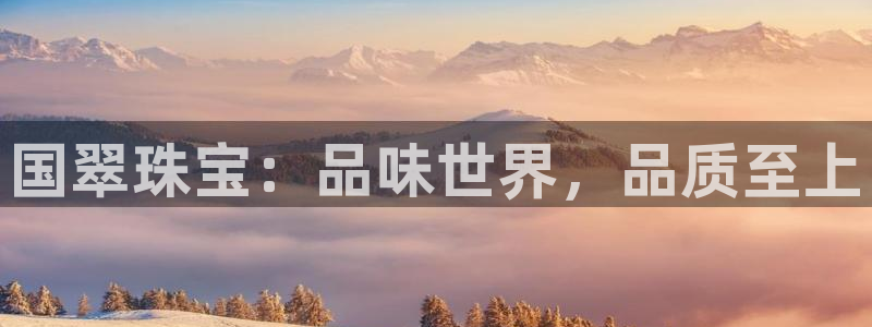 新航娱乐公司问题分析