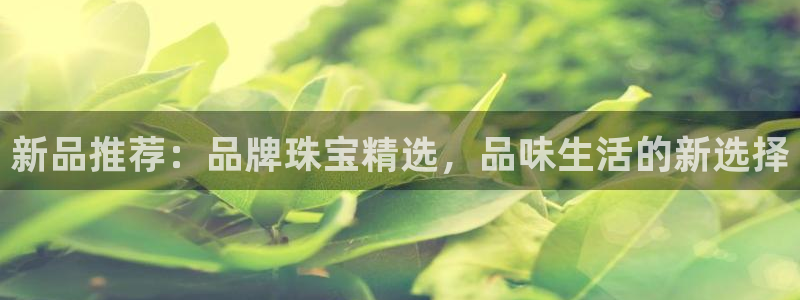 新航娱乐公司简介