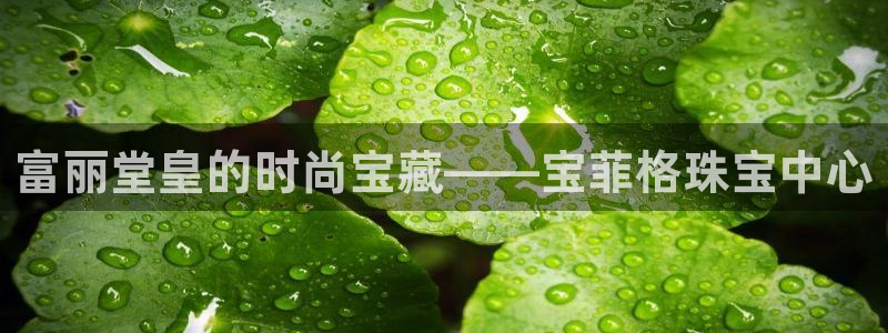 新航娱乐传媒怎么样知乎