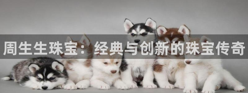 新航娱乐传媒怎么样啊：周生生珠宝：经典与创新的珠宝传奇