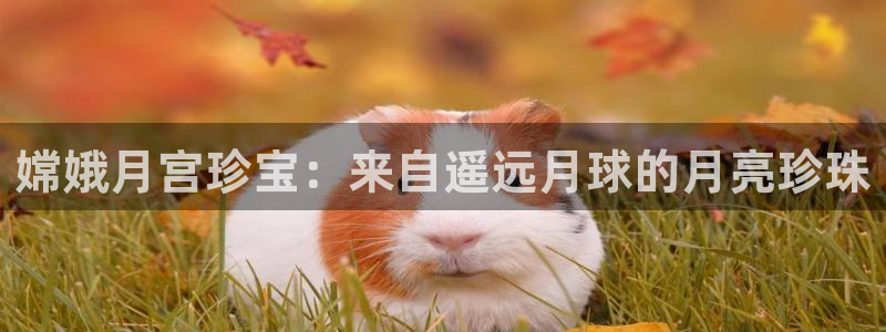 新航娱乐app下载安装