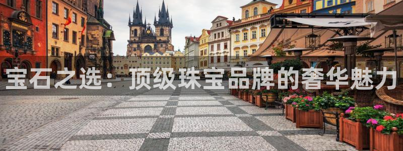 新航娱乐传媒招聘信息网