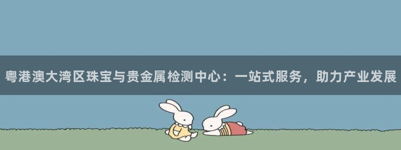 新航娱乐登录网站：粤港澳大湾区珠宝与贵金属检测中心：一站式服