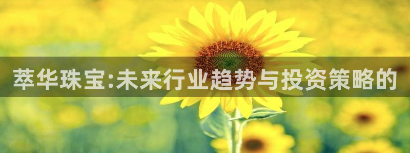 新航佳苑娱乐：萃华珠宝:未来行业趋势与投资策略的