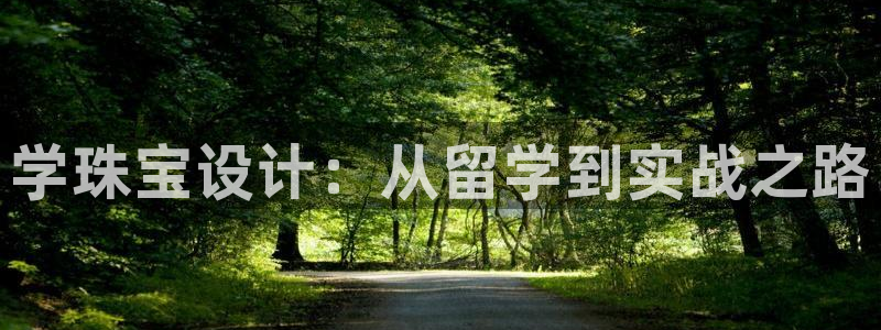 新航线娱乐：学珠宝设计：从留学到实战之路