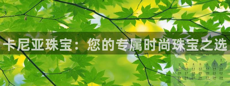 新航娱乐代理