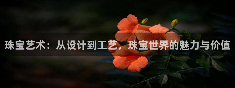 新航娱乐传媒怎么样啊