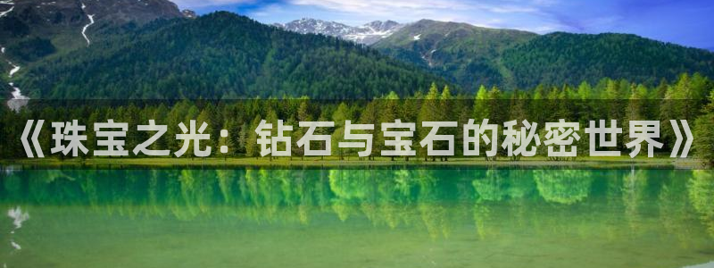 新航娱乐传媒招聘信息网