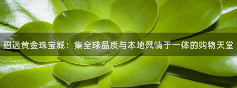 新航娱乐艺人
