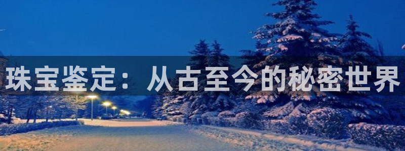 新航娱乐公司问题