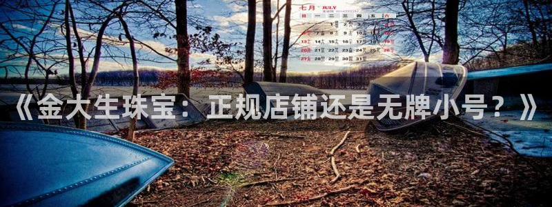 新航娱乐公司问题