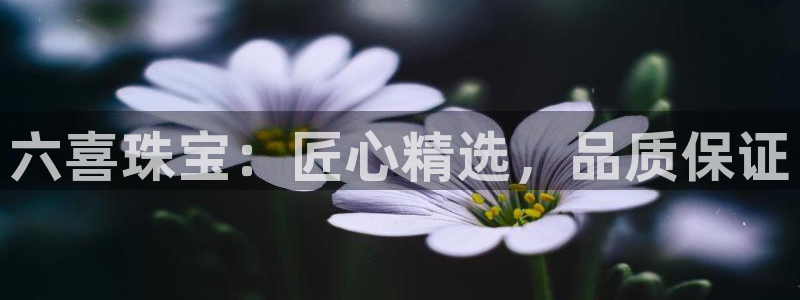 新航娱乐旗下平台有哪些