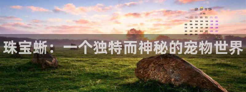 新航娱乐传媒怎么样啊