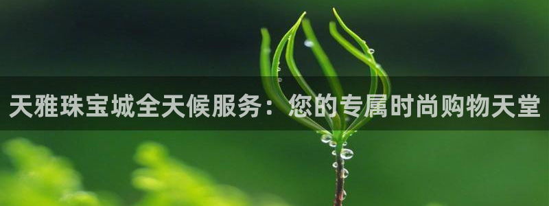 新航新客舱机上娱乐银