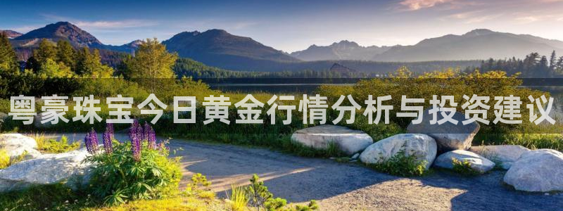 中国新航娱乐在哪个平台