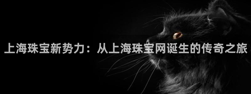 中国证券新航娱乐官网