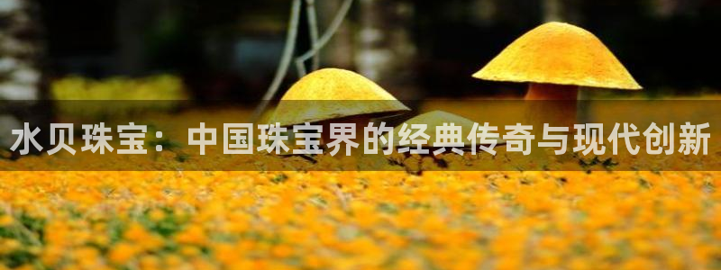 新航sq806娱乐系统