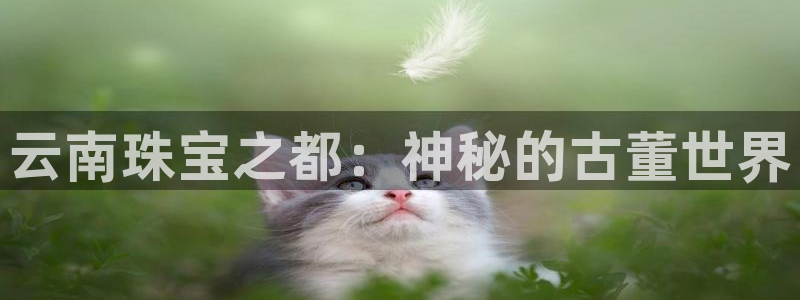 新航娱乐官方首页