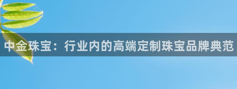 新航线娱乐