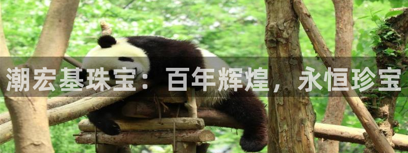 新航 娱乐系统