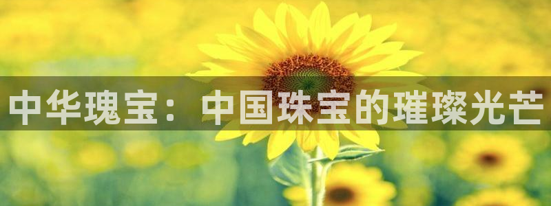 娱乐新航线：中华瑰宝：中国珠宝的璀璨光芒