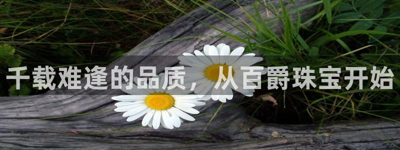 邯大新航娱乐