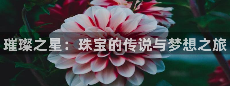 张掖新航线娱乐会所：璀璨之星：珠宝的传说与梦想之旅