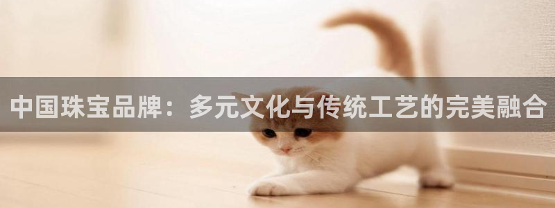 新航娱乐公司问题
