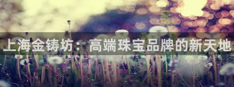 岛城娱乐新航向:上海金铸坊:高端珠宝品牌的新天地