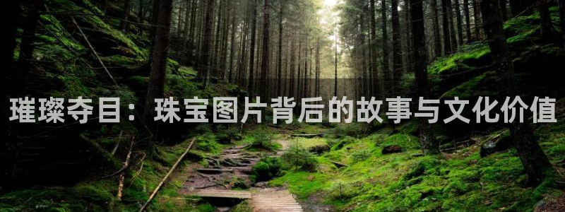 新航海娱乐会所怎么样：璀璨夺目：珠宝图片背后的故事与文化价值