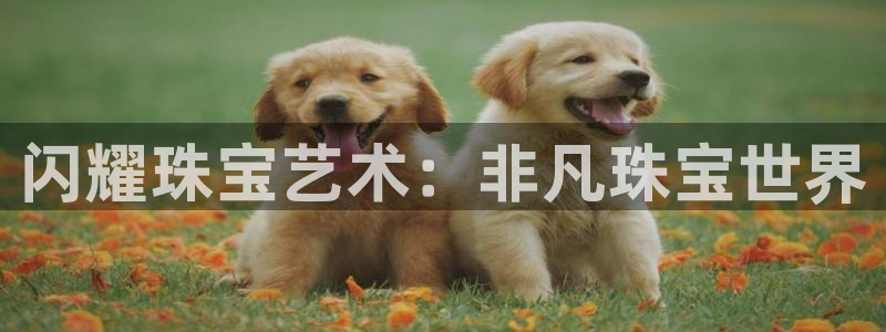 萧山娱乐新航母阿里巴巴
