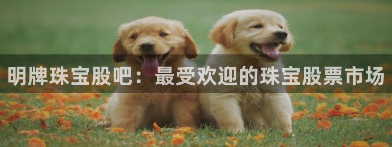 新航娱乐公司地址在哪里:明牌珠宝股吧:最受欢迎的珠宝股票市场