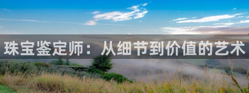 新航海娱乐会所:珠宝鉴定师:从细节到价值的艺术