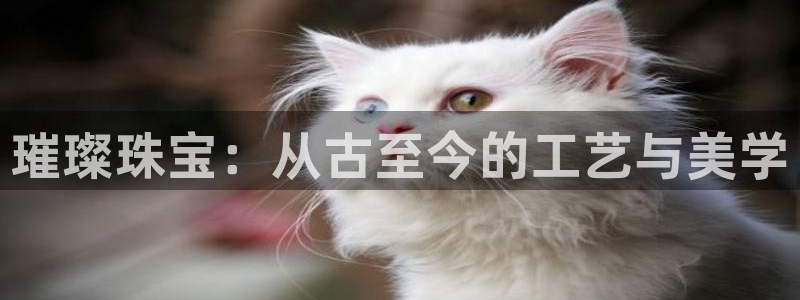 新航娱乐公司问题分析