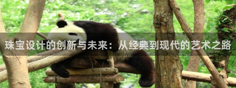 新航娱乐客服电话