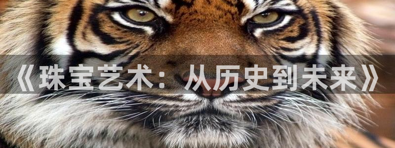 新航娱乐公司简介