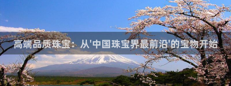 中国新航娱乐在哪个平台