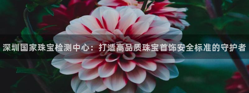 新航头等舱套房娱乐屏