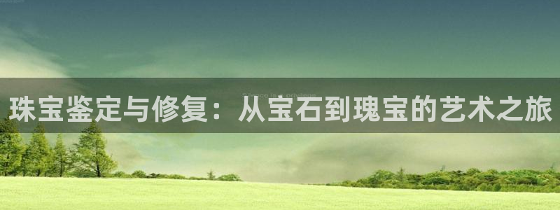 兰山新航线娱乐会所:珠宝鉴定与修复:从宝石到瑰宝的艺术之旅